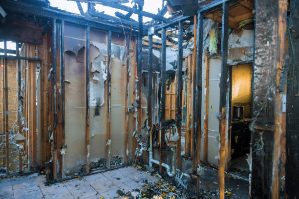 Professional Fire Damage Removal technician working in Venice, IL